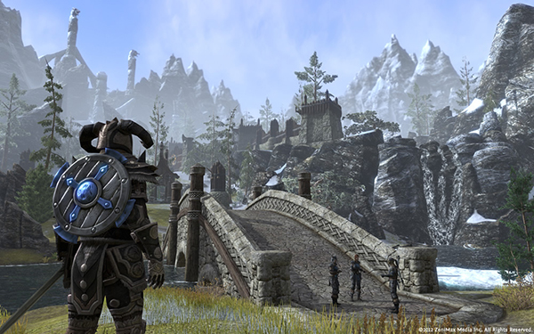 

The Elder Scrolls Online Tamriel Unlimited (PC/Mac)