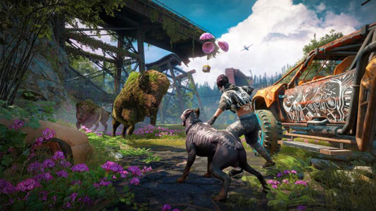 Far Cry New Dawn Key